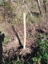 image Planon_saule_ttard.jpg (3.4MB)