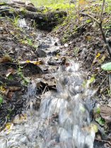 image Source_2.jpg (5.8MB)