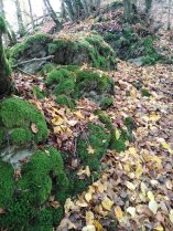 image Afleurement_rocheux.jpg (0.2MB)